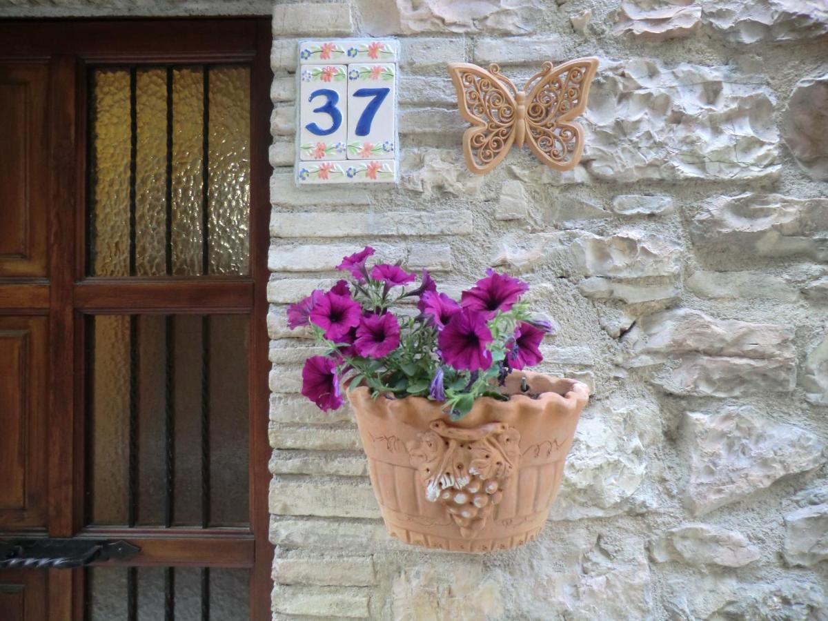 La Corta Di Spello Camere Exterior foto