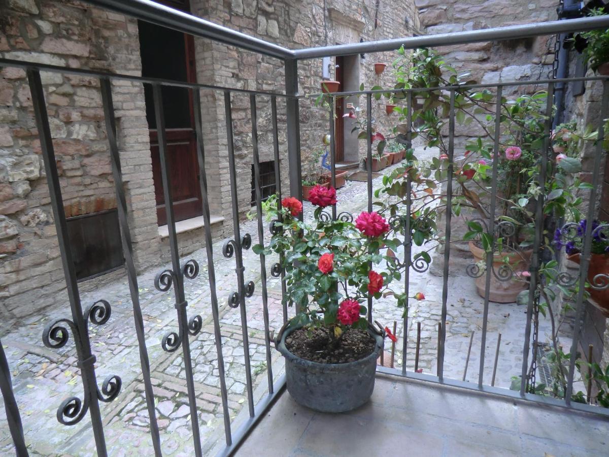 La Corta Di Spello Camere Exterior foto